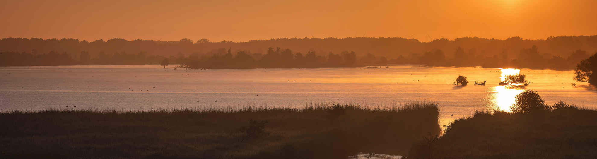 Oostvaardersplassen Lelystad