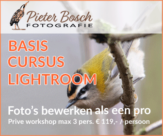 Lighroom workshops door Pieter Bosch voor beginners en gevorderde