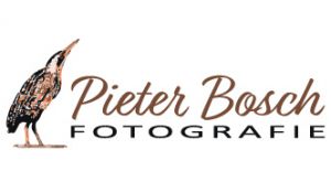 Pieter Bosch fotografie